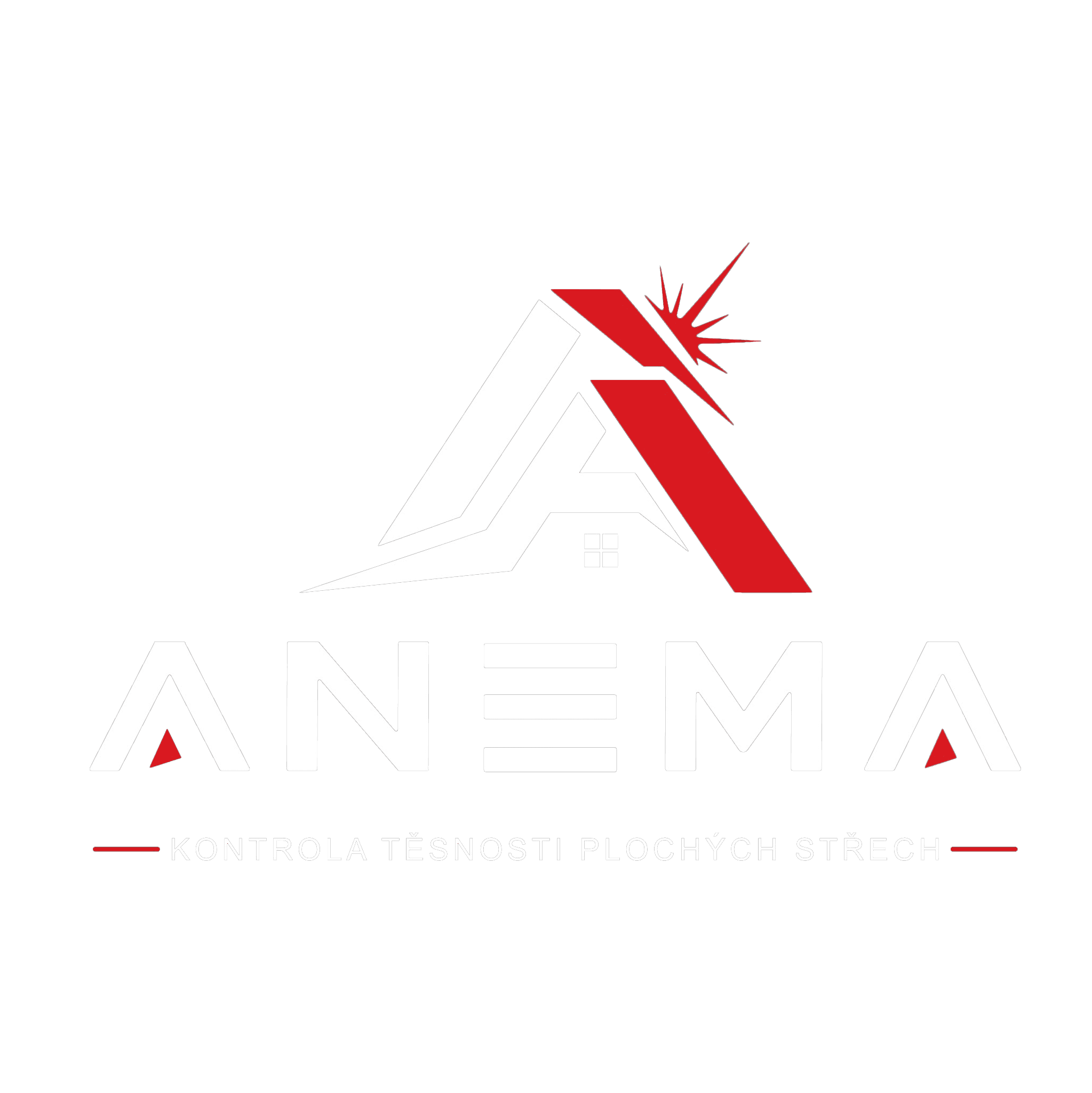 Anema: kontrola těsnosti plochých střech